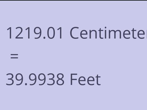 1219.01 CM TO FEET