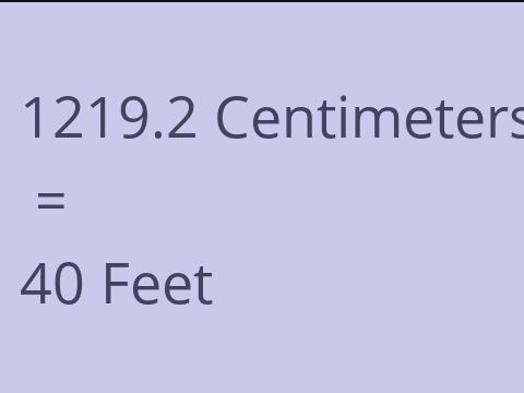 1219.2 CM TO FEET