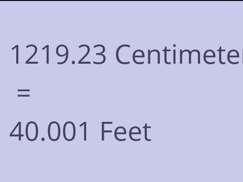 1219.23 CM TO FEET