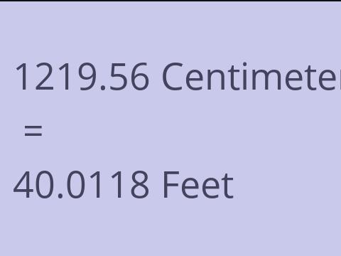 1219.56 CM TO FEET