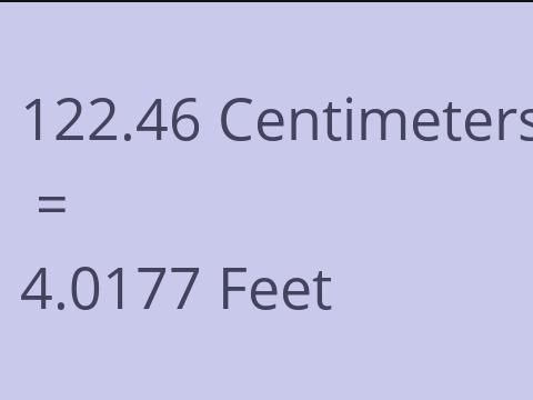 122.46 CM TO FEET