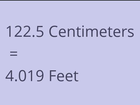 122.5 CM TO FEET