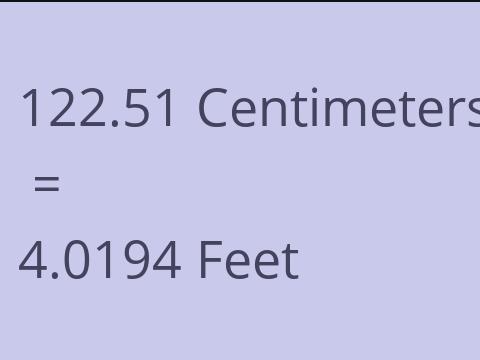 122.51 CM TO FEET