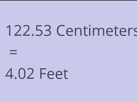 122.53 CM TO FEET