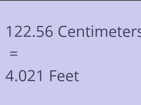 122.56 CM TO FEET