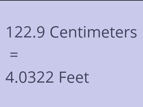 122.9 CM TO FEET