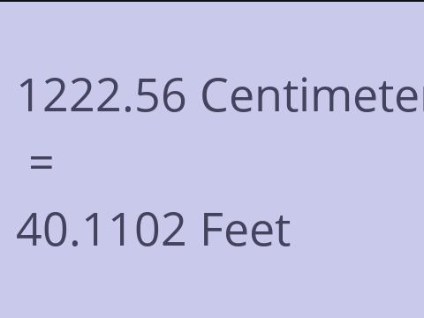 1222.56 CM TO FEET