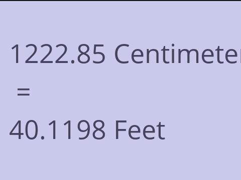 1222.85 CM TO FEET