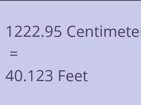 1222.95 CM TO FEET