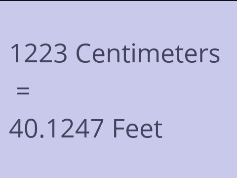 1223 CM TO FEET