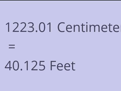 1223.01 CM TO FEET