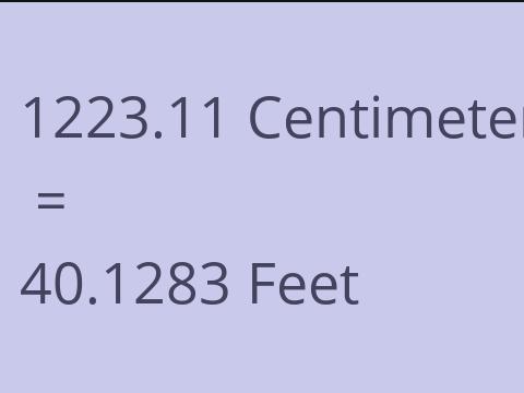 1223.11 CM TO FEET