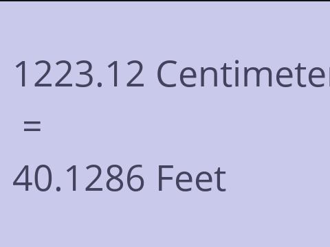 1223.12 CM TO FEET