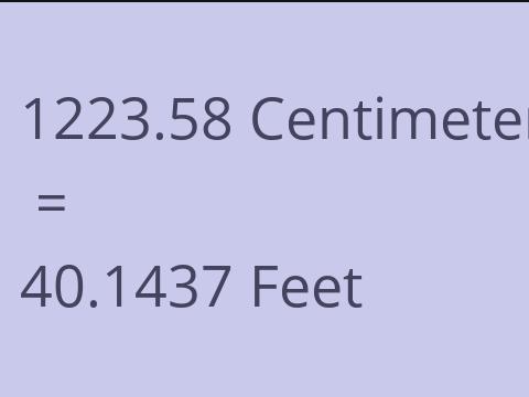 1223.58 CM TO FEET