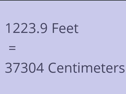 1223.9 FEET TO CM