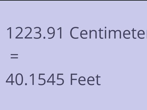 1223.91 CM TO FEET