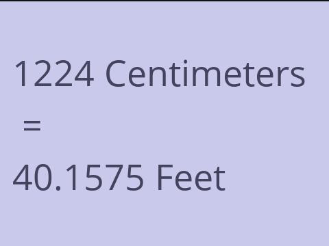 1224 CM TO FEET