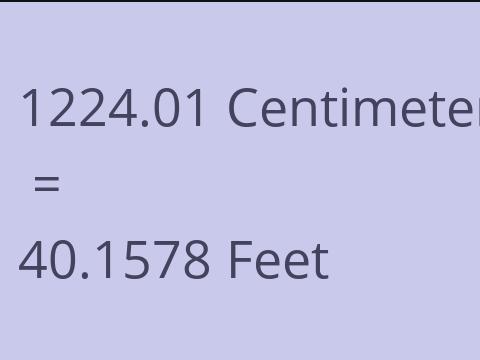 1224.01 CM TO FEET