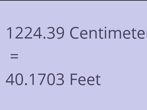 1224.39 CM TO FEET