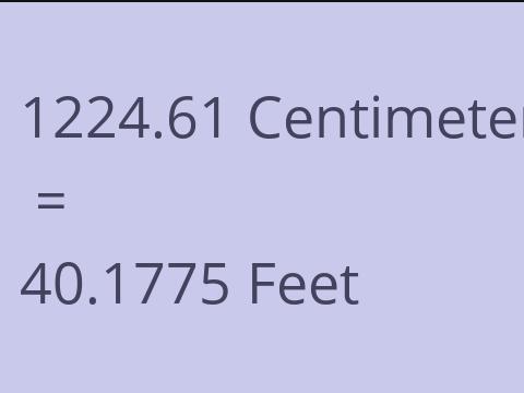 1224.61 CM TO FEET