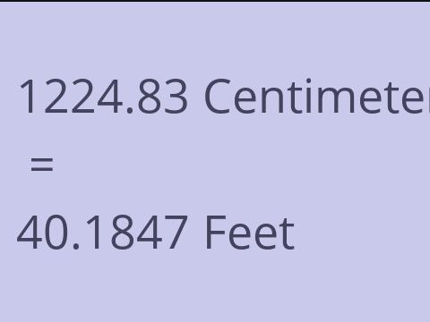 1224.83 CM TO FEET