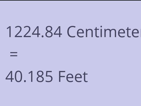 1224.84 CM TO FEET