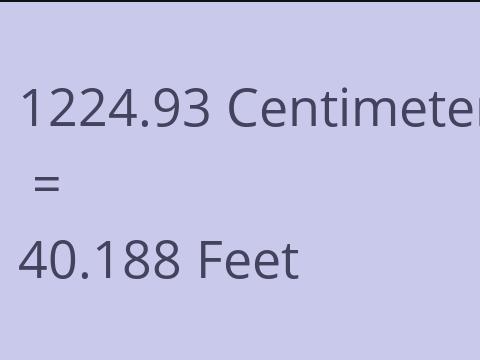 1224.93 CM TO FEET