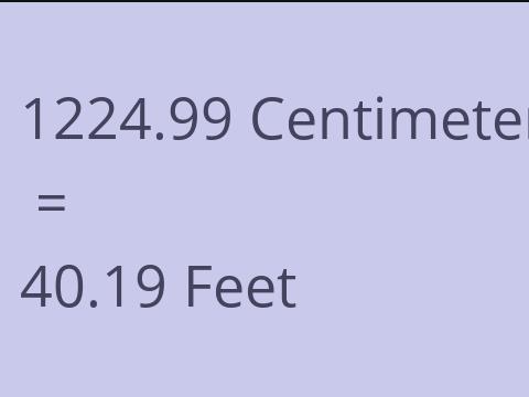 1224.99 CM TO FEET