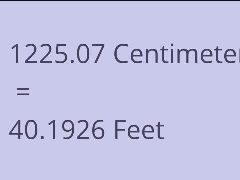 1225.07 CM TO FEET