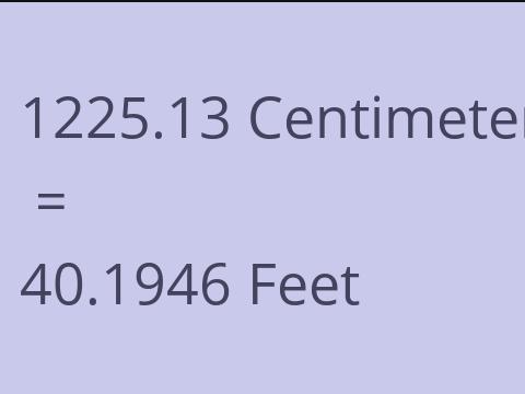 1225.13 CM TO FEET