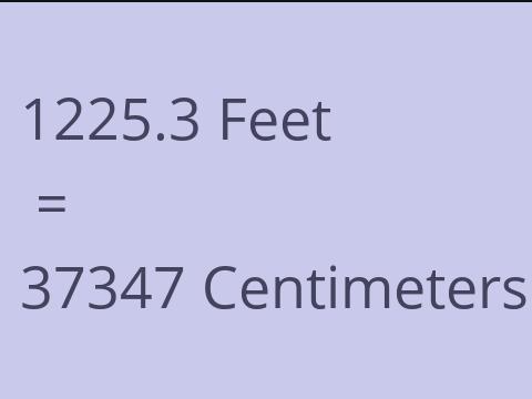 1225.3 FEET TO CM