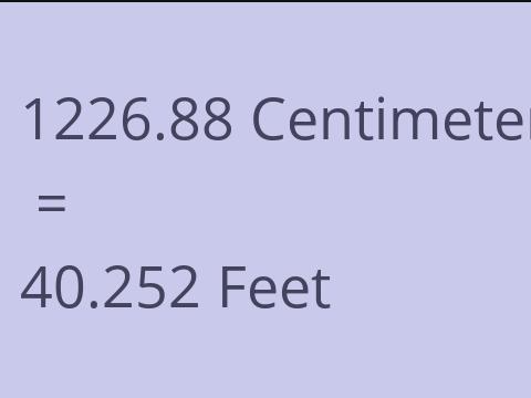 1226.88 CM TO FEET