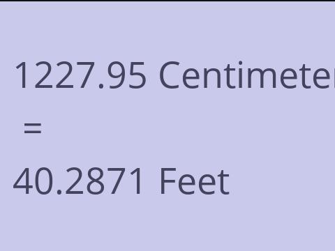 1227.95 CM TO FEET