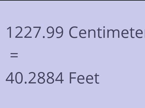 1227.99 CM TO FEET