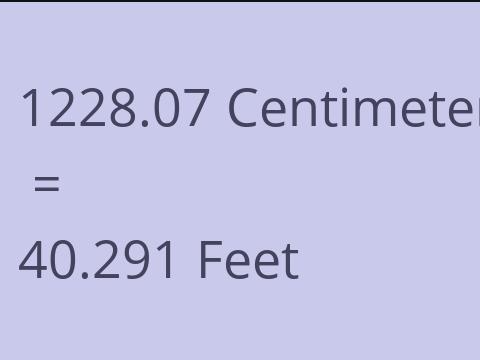 1228.07 CM TO FEET