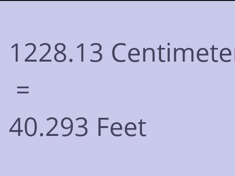 1228.13 CM TO FEET