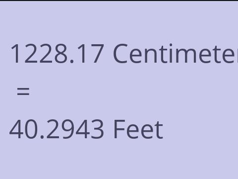 1228.17 CM TO FEET