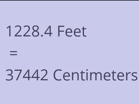 1228.4 FEET TO CM