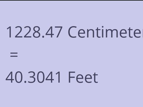 1228.47 CM TO FEET