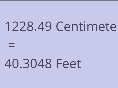 1228.49 CM TO FEET