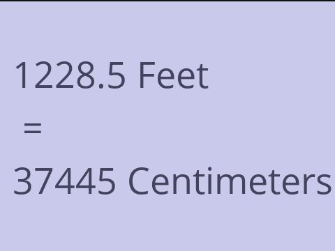 1228.5 FEET TO CM