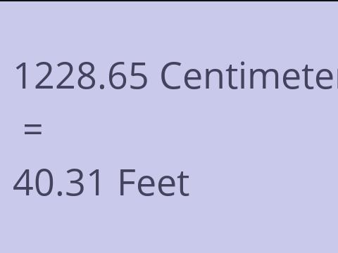 1228.65 CM TO FEET