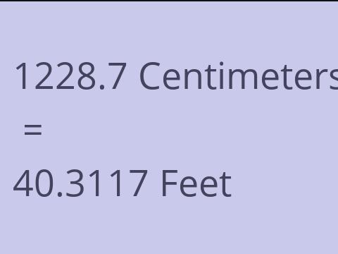 1228.7 CM TO FEET