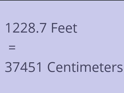 1228.7 FEET TO CM