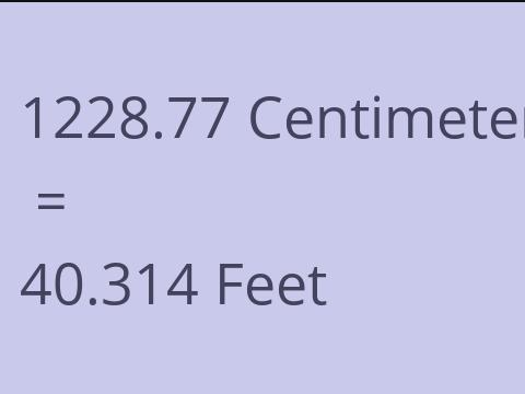 1228.77 CM TO FEET