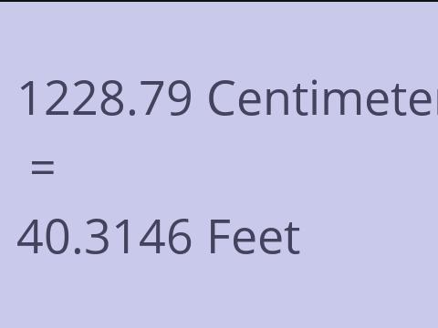 1228.79 CM TO FEET