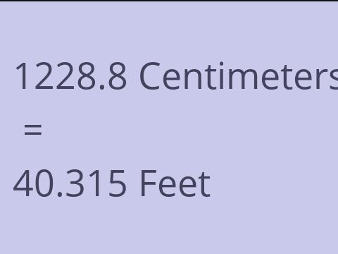 1228.8 CM TO FEET