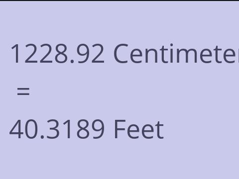 1228.92 CM TO FEET