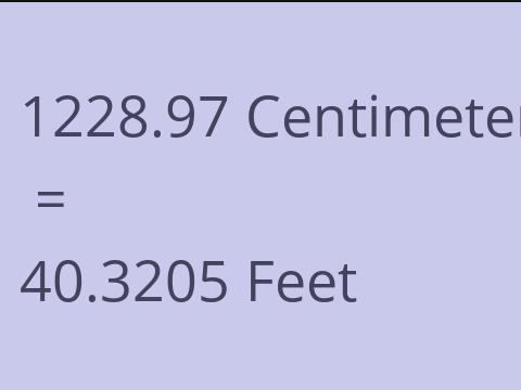 1228.97 CM TO FEET