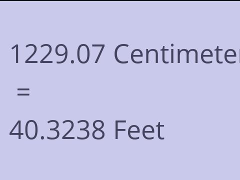 1229.07 CM TO FEET